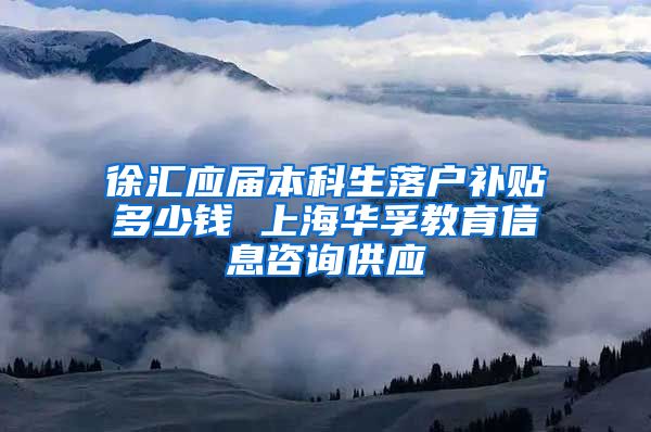 徐汇应届本科生落户补贴多少钱 上海华孚教育信息咨询供应