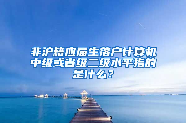 非沪籍应届生落户计算机中级或省级二级水平指的是什么？