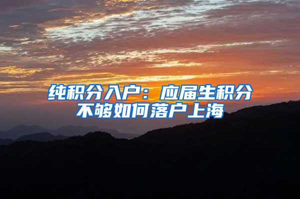 纯积分入户：应届生积分不够如何落户上海