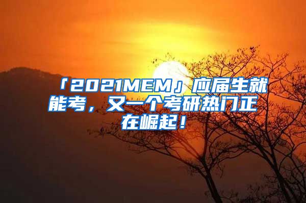 「2021MEM」应届生就能考，又一个考研热门正在崛起！