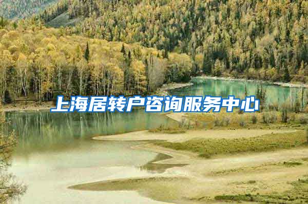 上海居转户咨询服务中心