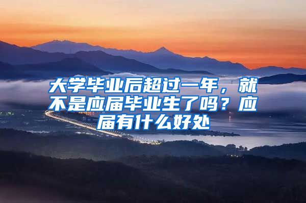 大学毕业后超过一年，就不是应届毕业生了吗？应届有什么好处