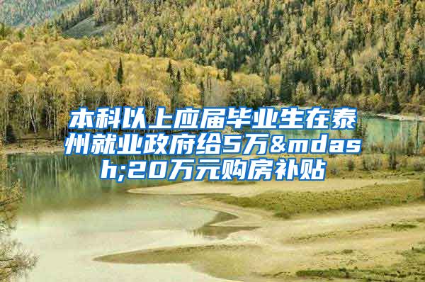 本科以上应届毕业生在泰州就业政府给5万—20万元购房补贴