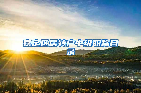 嘉定区居转户中级职称目录