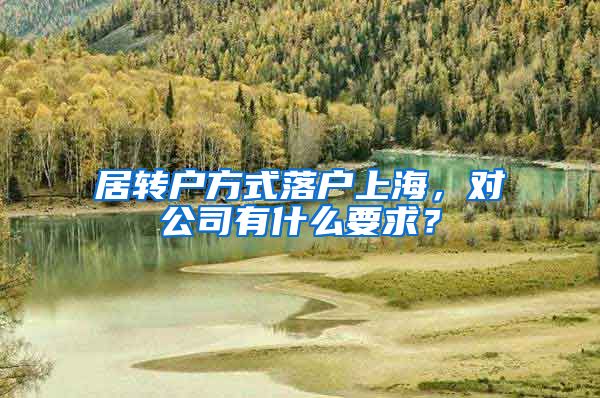 居转户方式落户上海，对公司有什么要求？