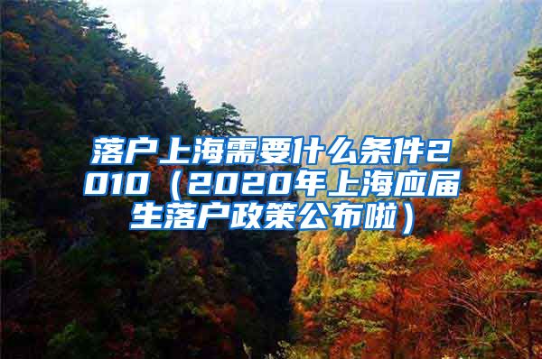 落户上海需要什么条件2010（2020年上海应届生落户政策公布啦）