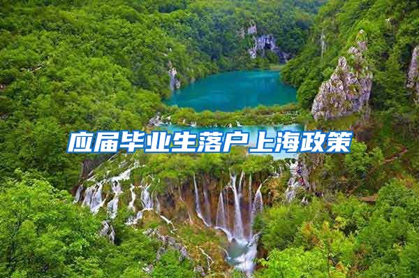 应届毕业生落户上海政策
