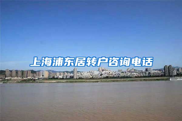 上海浦东居转户咨询电话