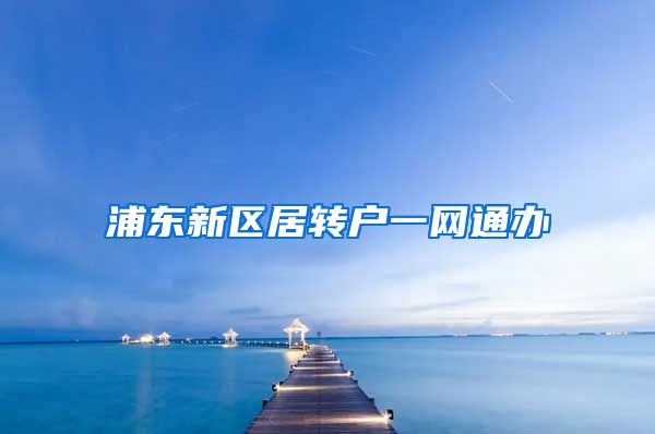 浦东新区居转户一网通办