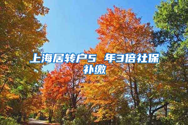 上海居转户5 年3倍社保补缴