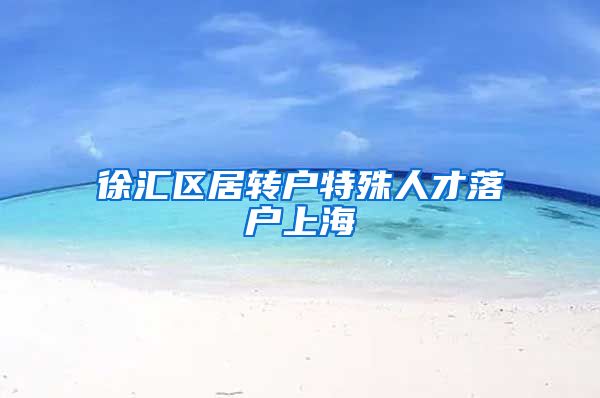 徐汇区居转户特殊人才落户上海