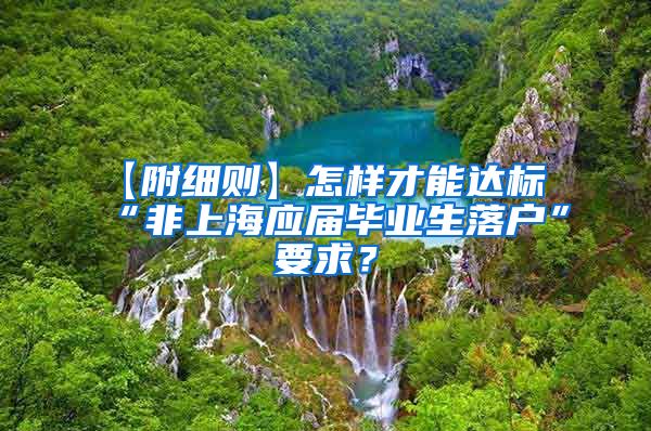 【附细则】怎样才能达标“非上海应届毕业生落户”要求？