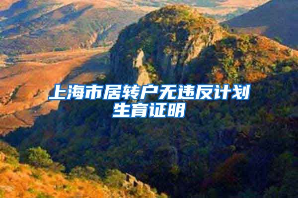 上海市居转户无违反计划生育证明