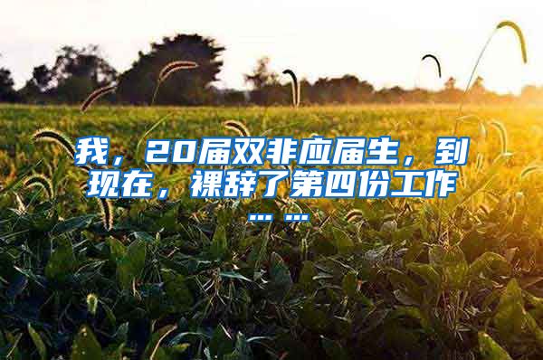 我，20届双非应届生，到现在，裸辞了第四份工作……