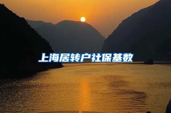 上海居转户社保基数