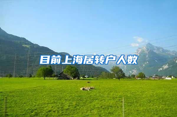 目前上海居转户人数