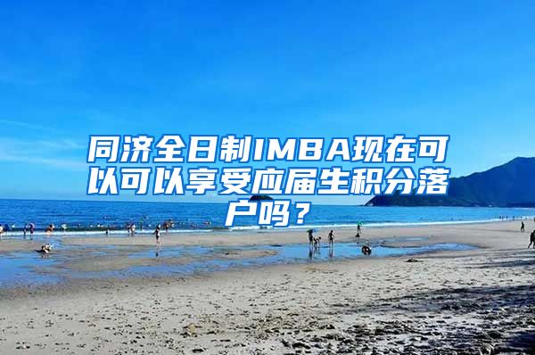 同济全日制IMBA现在可以可以享受应届生积分落户吗？