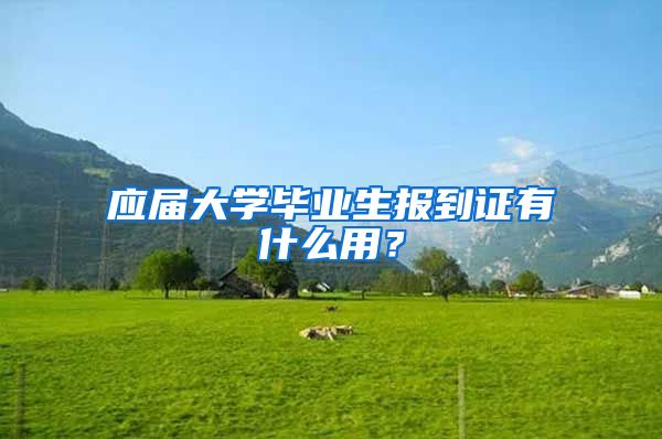 应届大学毕业生报到证有什么用？