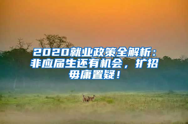 2020就业政策全解析：非应届生还有机会，扩招毋庸置疑！