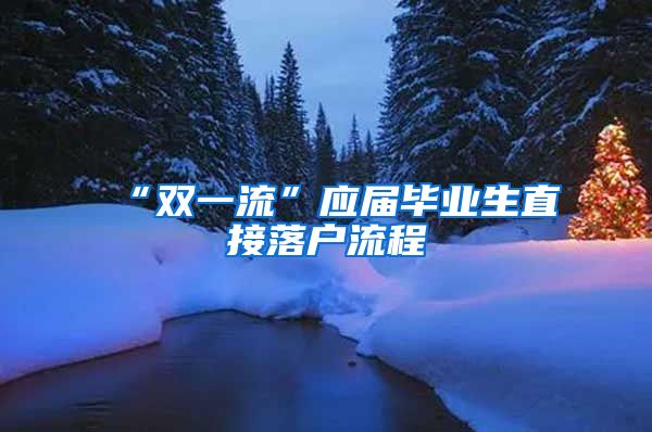 “双一流”应届毕业生直接落户流程