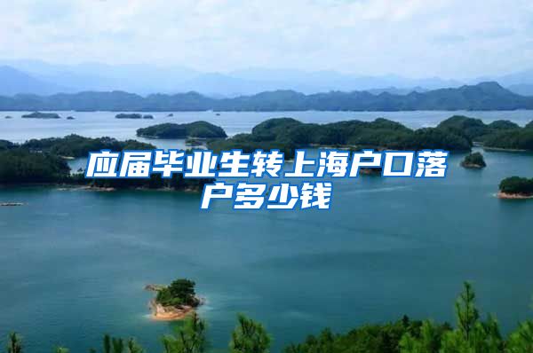 应届毕业生转上海户口落户多少钱