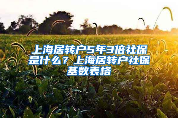 上海居转户5年3倍社保是什么？上海居转户社保基数表格