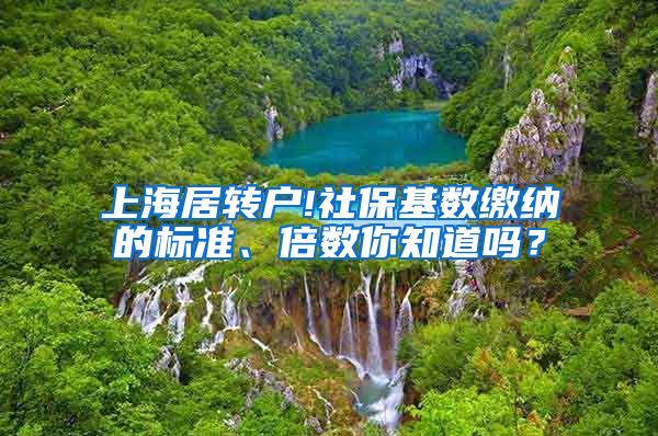 上海居转户!社保基数缴纳的标准、倍数你知道吗？