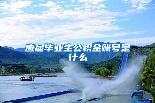 应届毕业生公积金账号是什么