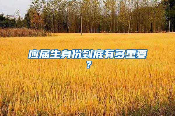 应届生身份到底有多重要？
