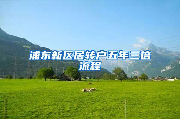 浦东新区居转户五年三倍流程