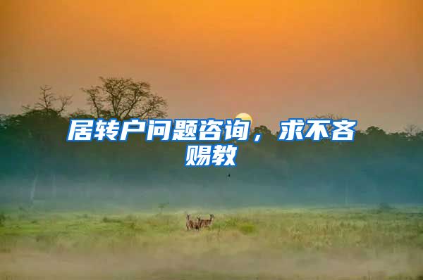 居转户问题咨询，求不吝赐教