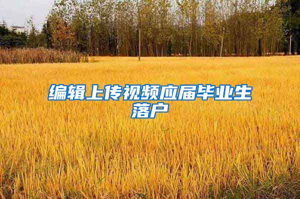 编辑上传视频应届毕业生落户