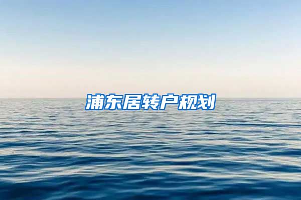 浦东居转户规划