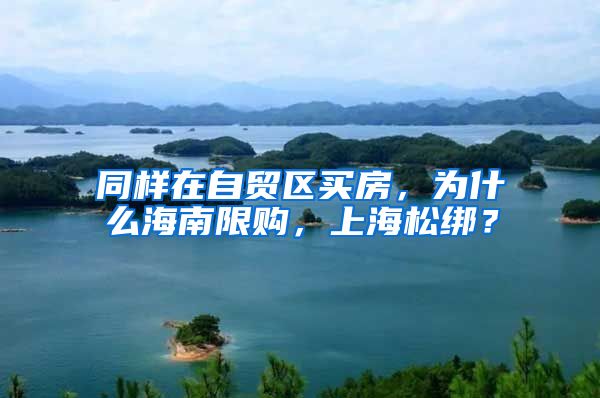 同样在自贸区买房，为什么海南限购，上海松绑？