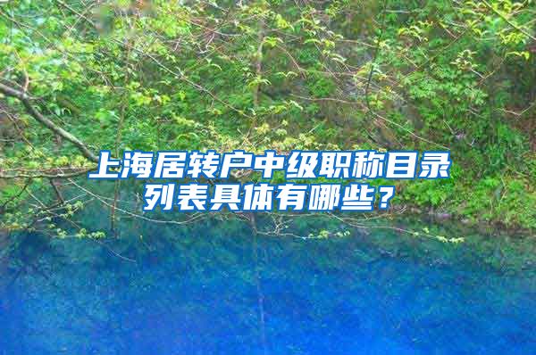 上海居转户中级职称目录列表具体有哪些？