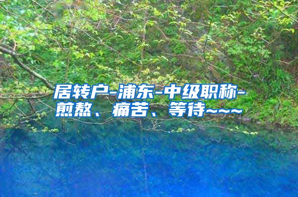 居转户-浦东-中级职称-煎熬、痛苦、等待~~~