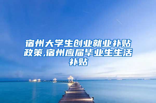 宿州大学生创业就业补贴政策,宿州应届毕业生生活补贴