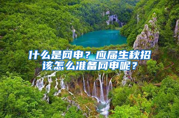 什么是网申？应届生秋招该怎么准备网申呢？