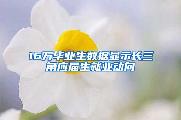 16万毕业生数据显示长三角应届生就业动向