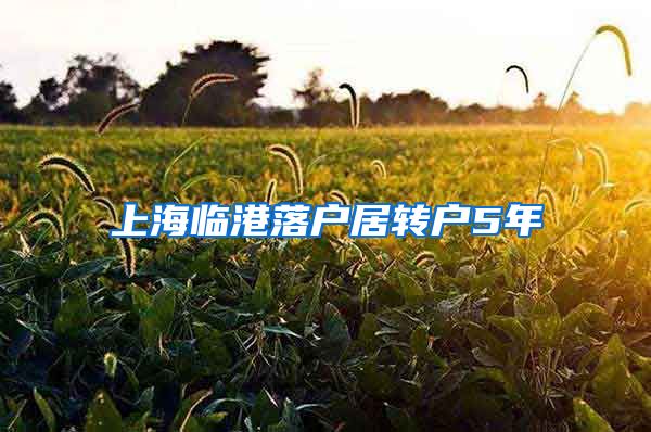 上海临港落户居转户5年