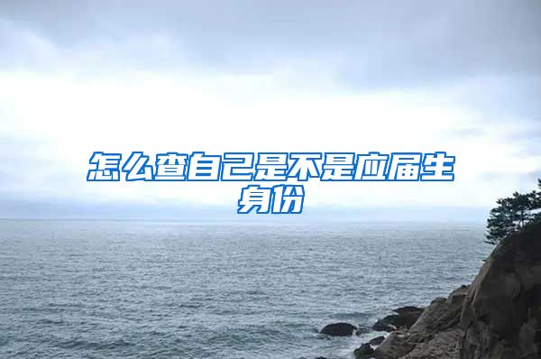 怎么查自己是不是应届生身份