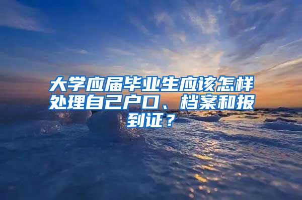 大学应届毕业生应该怎样处理自己户口、档案和报到证？
