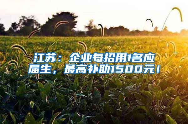 江苏：企业每招用1名应届生，最高补助1500元！