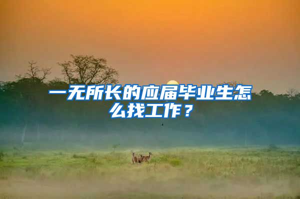 一无所长的应届毕业生怎么找工作？