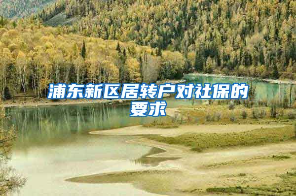 浦东新区居转户对社保的要求
