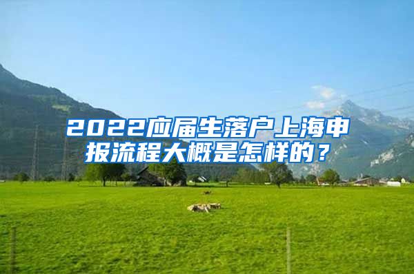 2022应届生落户上海申报流程大概是怎样的？