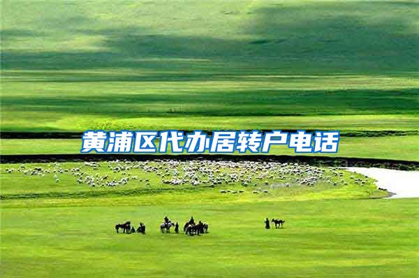 黄浦区代办居转户电话