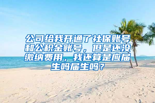 公司给我开通了社保账号和公积金账号，但是还没缴纳费用，我还算是应届生吗届生吗？