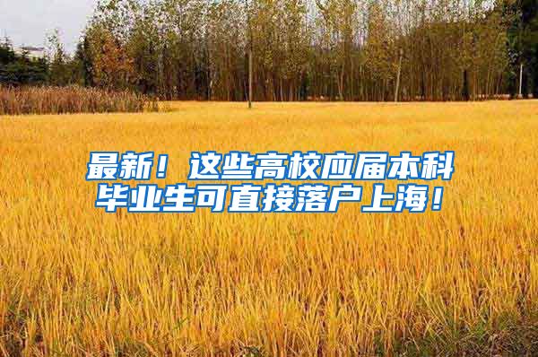 最新！这些高校应届本科毕业生可直接落户上海！