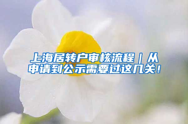 上海居转户审核流程｜从申请到公示需要过这几关！